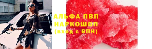 трава Лабытнанги