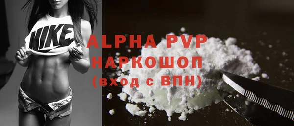 крисы Лагань