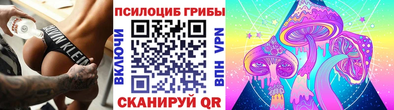 Галлюциногенные грибы мицелий  МЕГА tor  Николаевск 